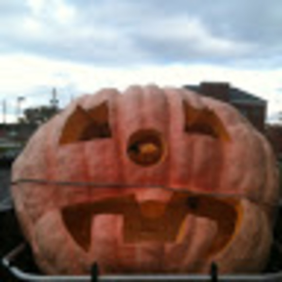 Meet your Posher, Matthew - Picture 1 of 1